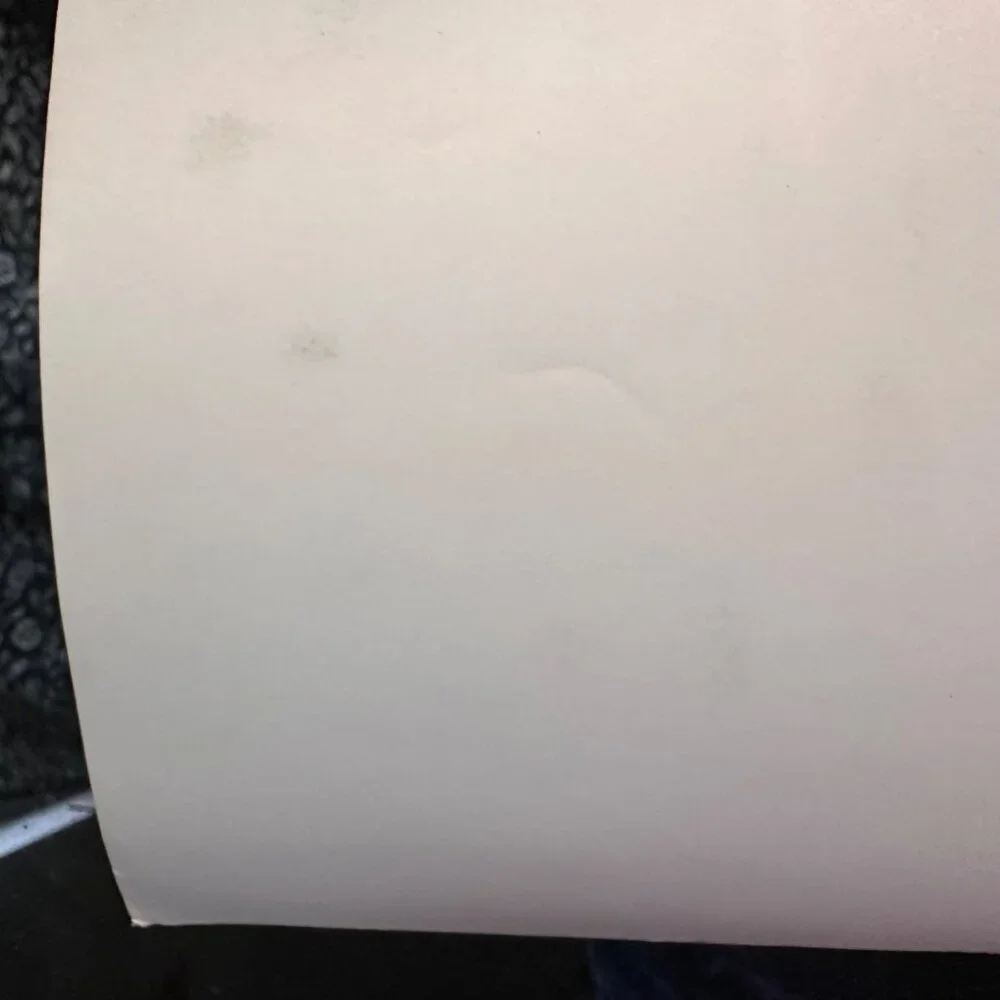 Vintage 1961 Warner Bros. Movie Still "Susan Slade" Featuring Connie Stevens & T - Picture 13 of 14